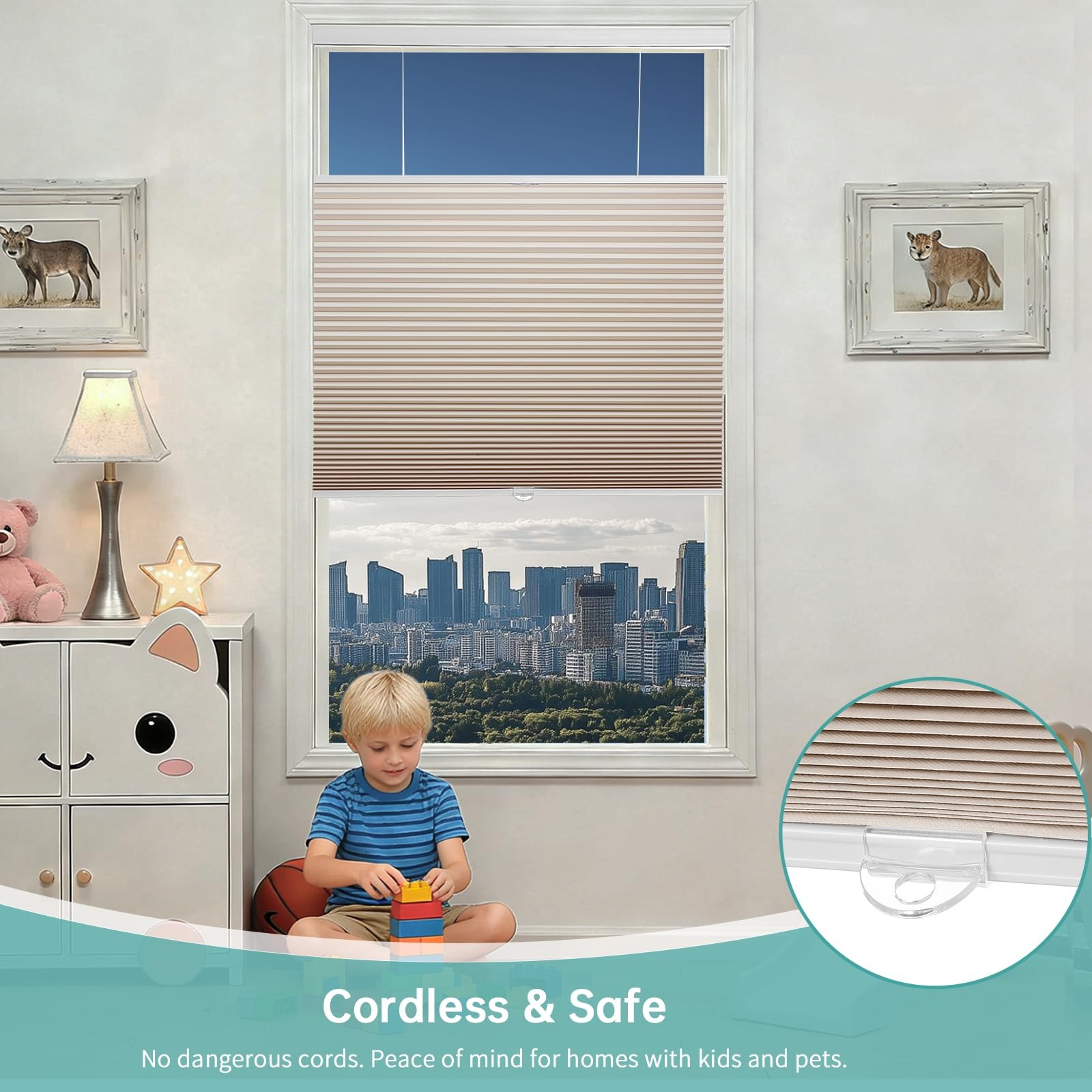 Changshade Blackout Top Down Bottom Up Cellular Shades Cordless Honeycomb
