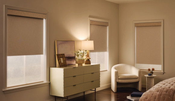 Hunter Douglas DuoLite Roller Shade Leeds Gray PowerView Lift System