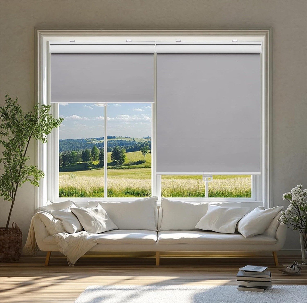Cordless Blackout Window Roller Shades, Pull Down Spring Sys Indoor Blinds 41×72