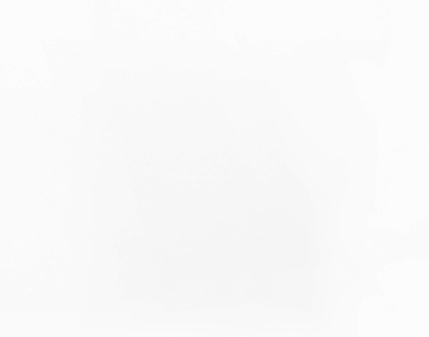 High-Quality Smooth Curved White PVC Vertical Blind Slats – 82.5″ (5 Pack)