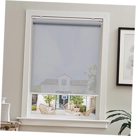Cordless Roller Shades for Windows Light Filtering Shades 23″W x 72″H Grey