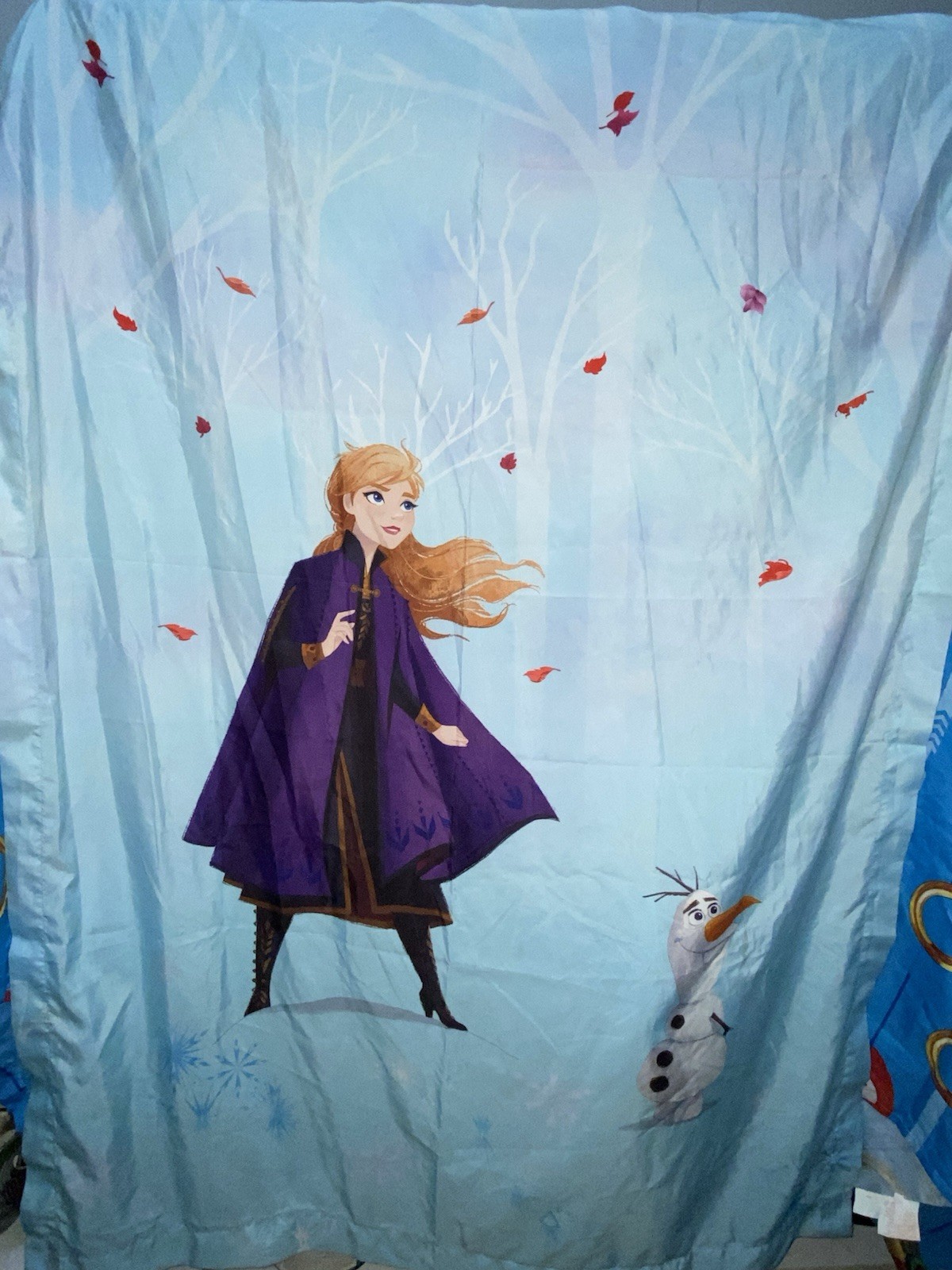 Disney Princess Frozen 1 Window Curtain Panels 1 Drapes 41”x 66”
