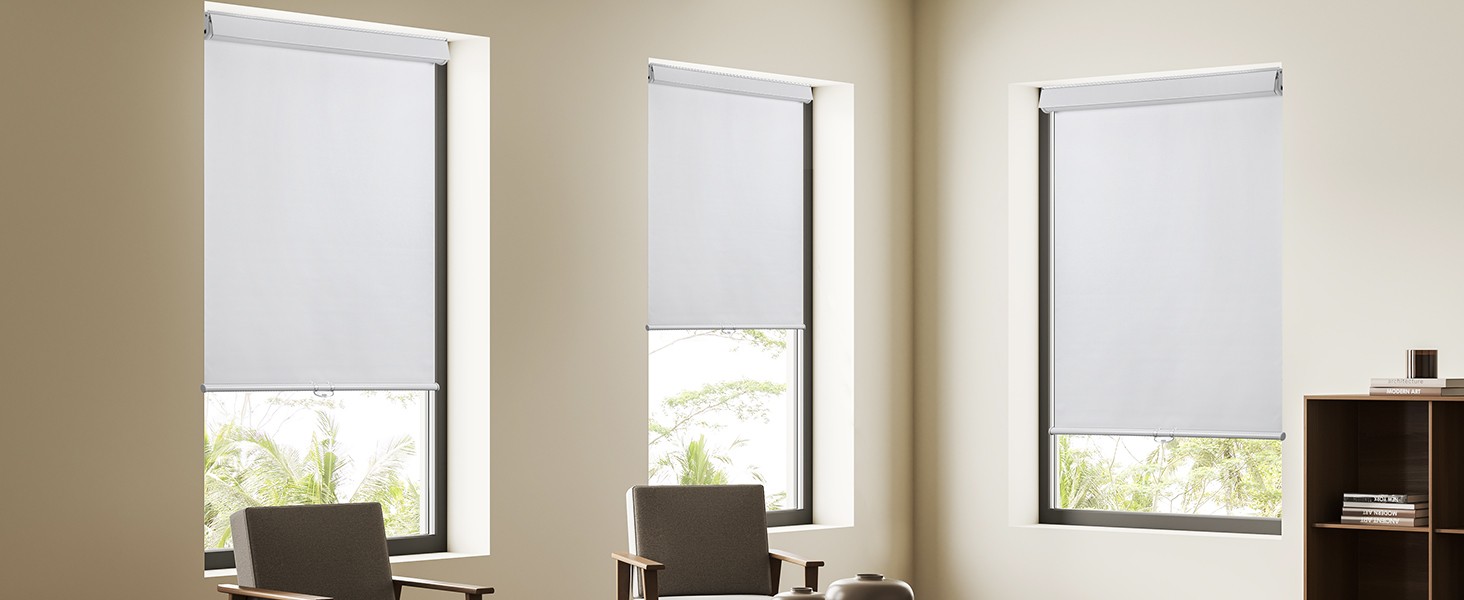 Roller Window Shades Free-Stop Cordless Blackout Blinds, Thermal Insulated Pull