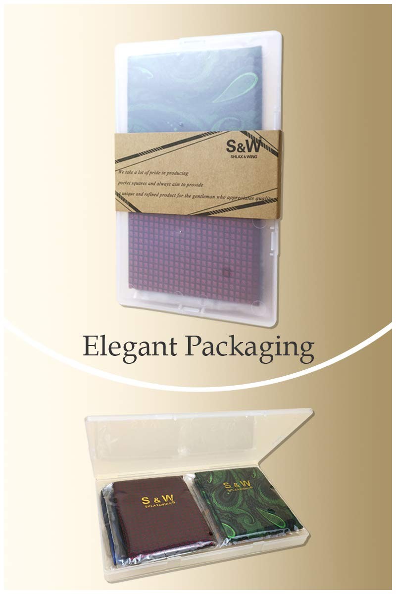 SHLAX&WING 5 Pieces Assorted Mens Silk Pocket Square X-Large, Set65