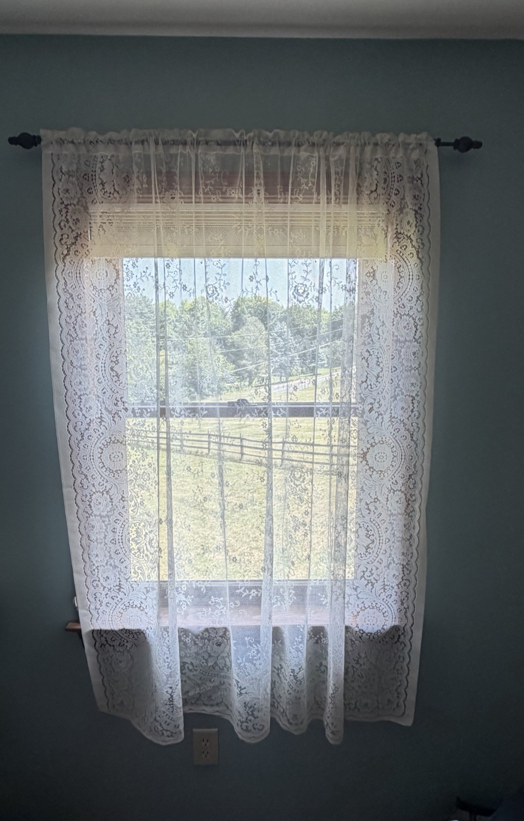 Protela 2 Panels Lace Curtains Ivory Ecru Each Panel Is 62” X 62” Floral Rose