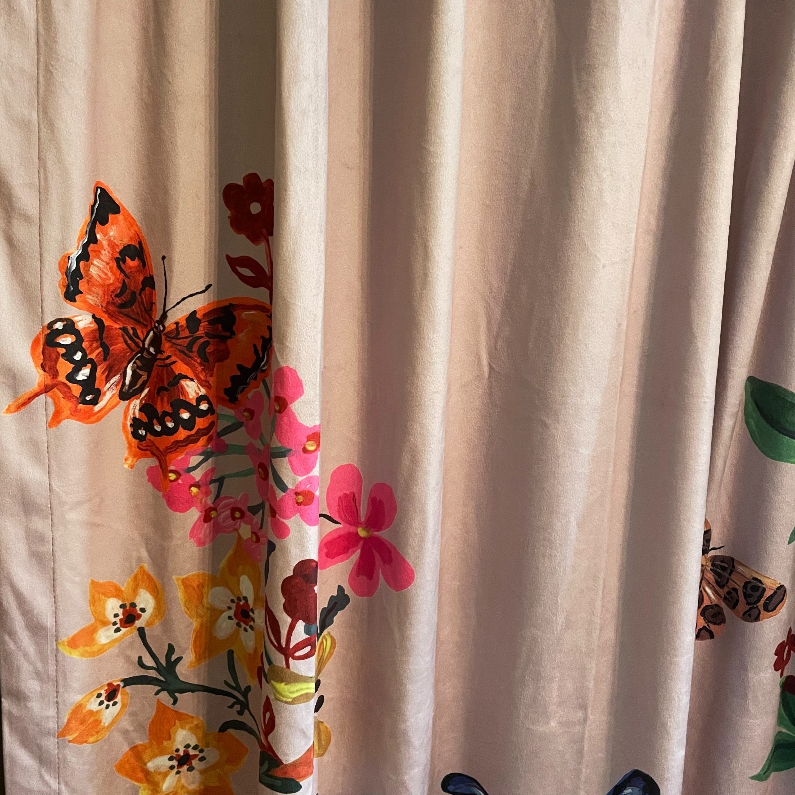 Natalie Leté Anthropologie Pink Velvet Butterfly Floral Curtain Panel 50″ x 63″