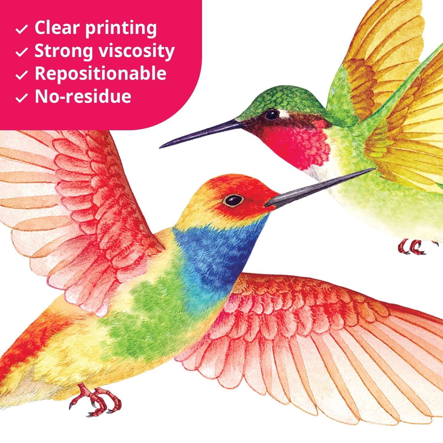 BASHOM DS2-4002 Hummingbirds Wall Stickers Decals Kids Peel and Stick Ba-4002