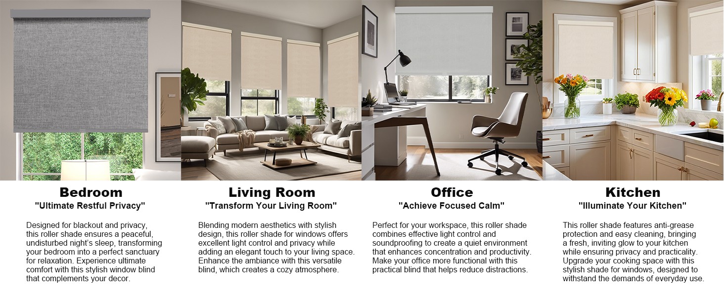 Blackout Roller Shades, Cordless Blinds with Valance, Window Shades for Home,