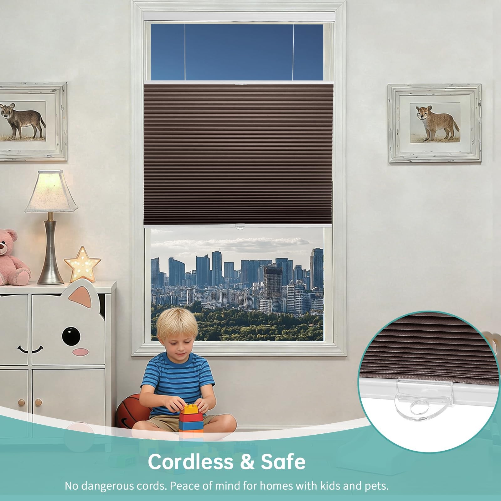 Changshade Blackout Top Down Bottom Up Cellular Shades Cordless Honeycomb