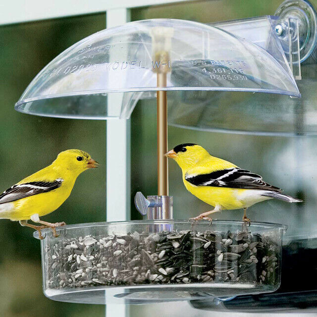 Window Bird Feeder Reflective Mirror Film UV Home Heat Insulation 12″X1′