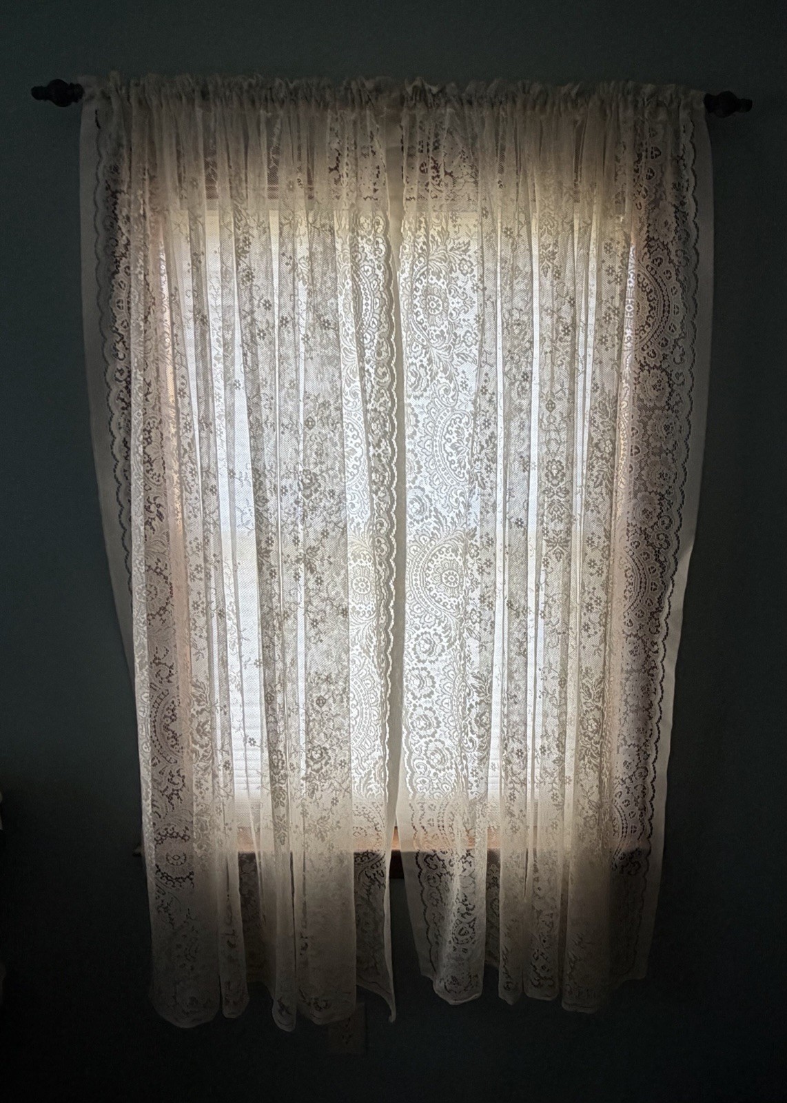 Protela 2 Panels Lace Curtains Ivory Ecru Each Panel Is 62” X 62” Floral Rose