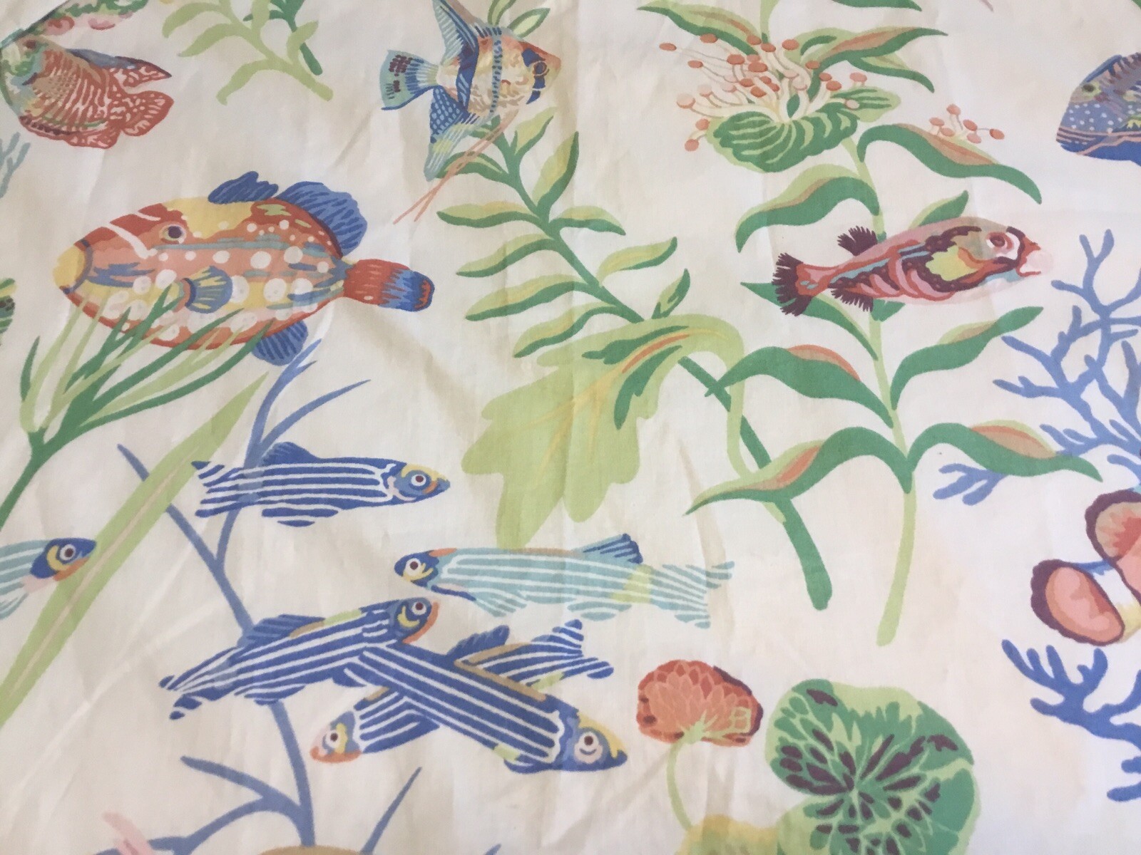 Curtain, Shower, Bedspread, Throw, Lined, 105 In Wide 80 In Long Sea Life Beige