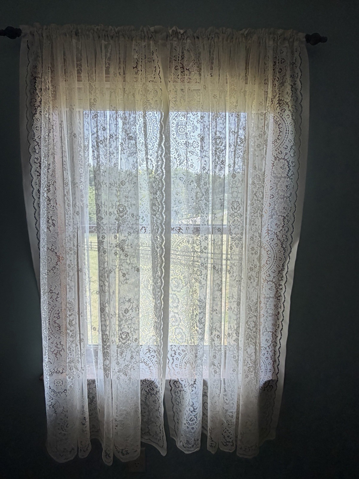 Protela 2 Panels Lace Curtains Ivory Ecru Each Panel Is 62” X 62” Floral Rose