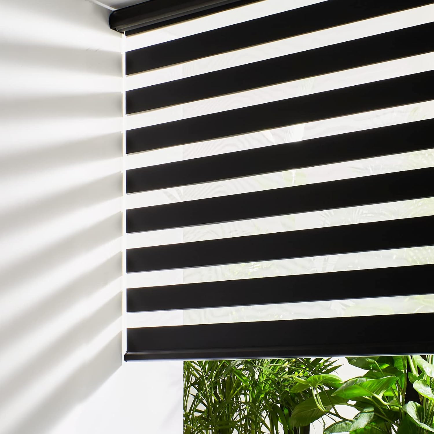 Cordless Zebra Blinds for Windows Free-Stop Roller Windows Shades (24″ W X 72″ H