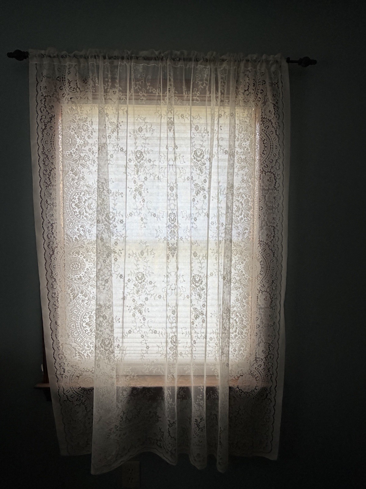 Protela 2 Panels Lace Curtains Ivory Ecru Each Panel Is 62” X 62” Floral Rose
