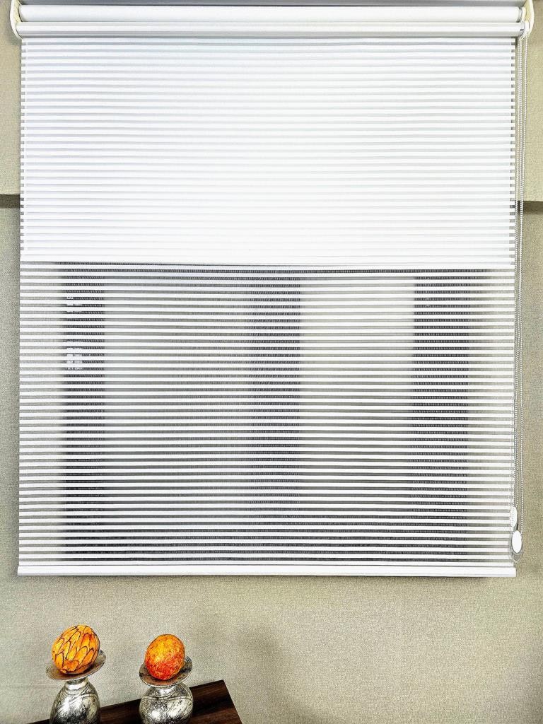 Double Mechanism Zebra Tulle and Blackout Roller Blinds TS2025BL