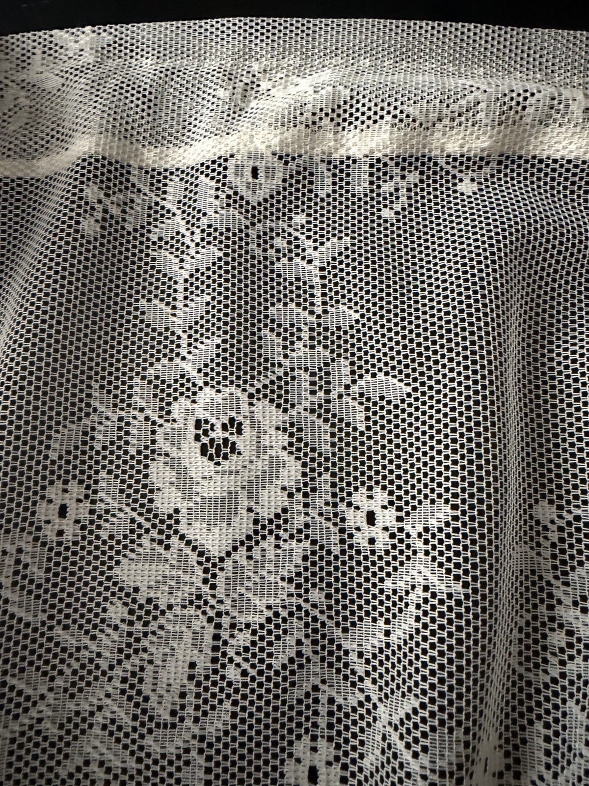 Protela 2 Panels Lace Curtains Ivory Ecru Each Panel Is 62” X 62” Floral Rose