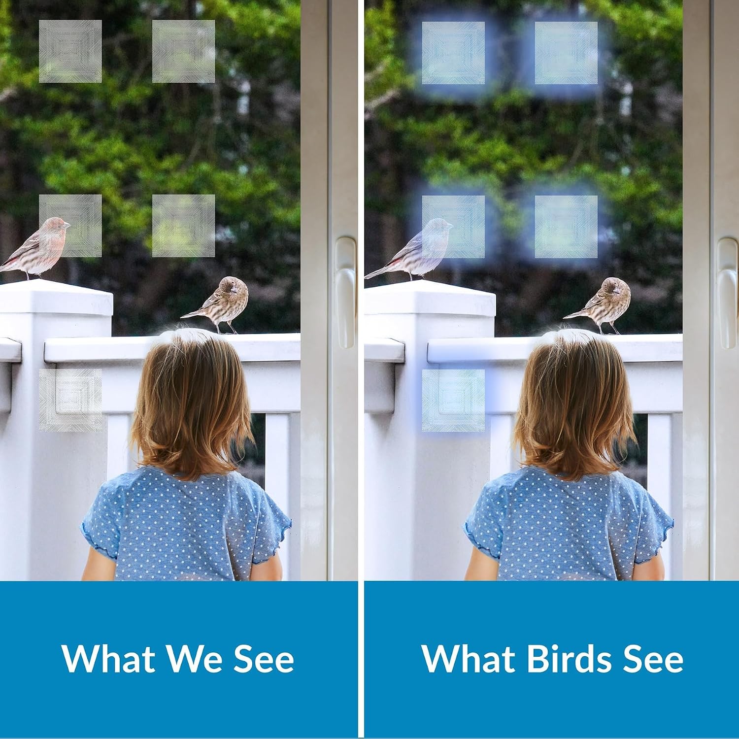 Bird’s Eye View Window Film Bird Deflectors by , Four-Pack, Static Cling,