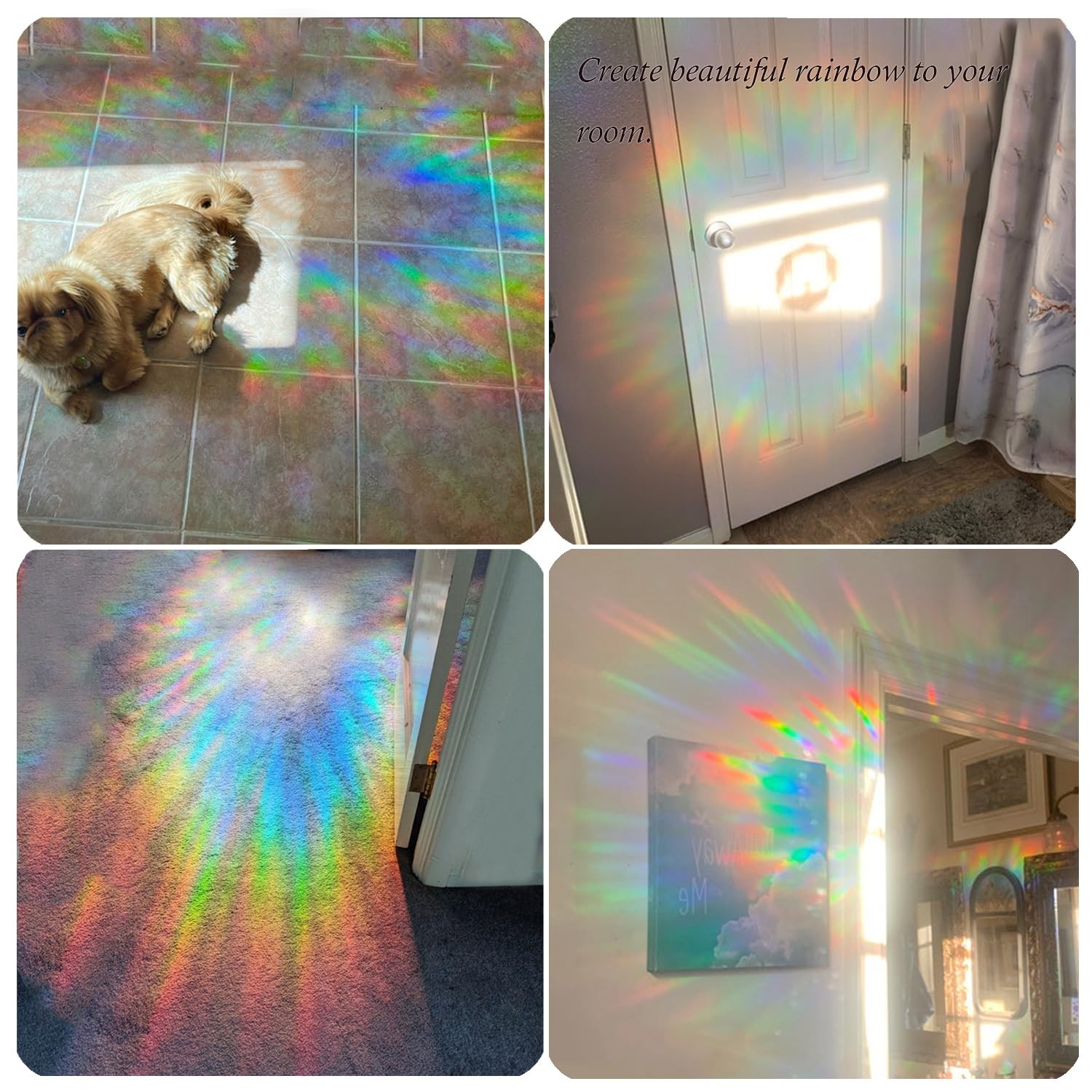 Dots Prism Window Collision Clings for Bird Strikes, 162 1 inch, Rainbow