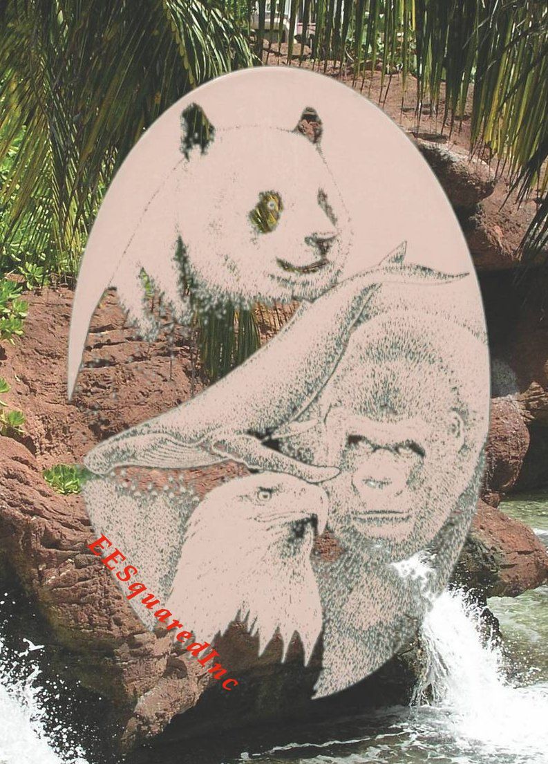 Panda Eagle Whale Gorilla Window Decal 10×16 Static Cling Vinyl Glass Decor NEW