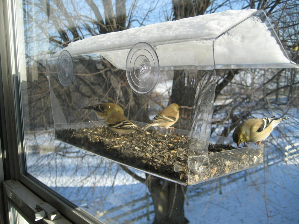 Window Bird Feeder Reflective Mirror Film UV Home Heat Insulation 12″X1′