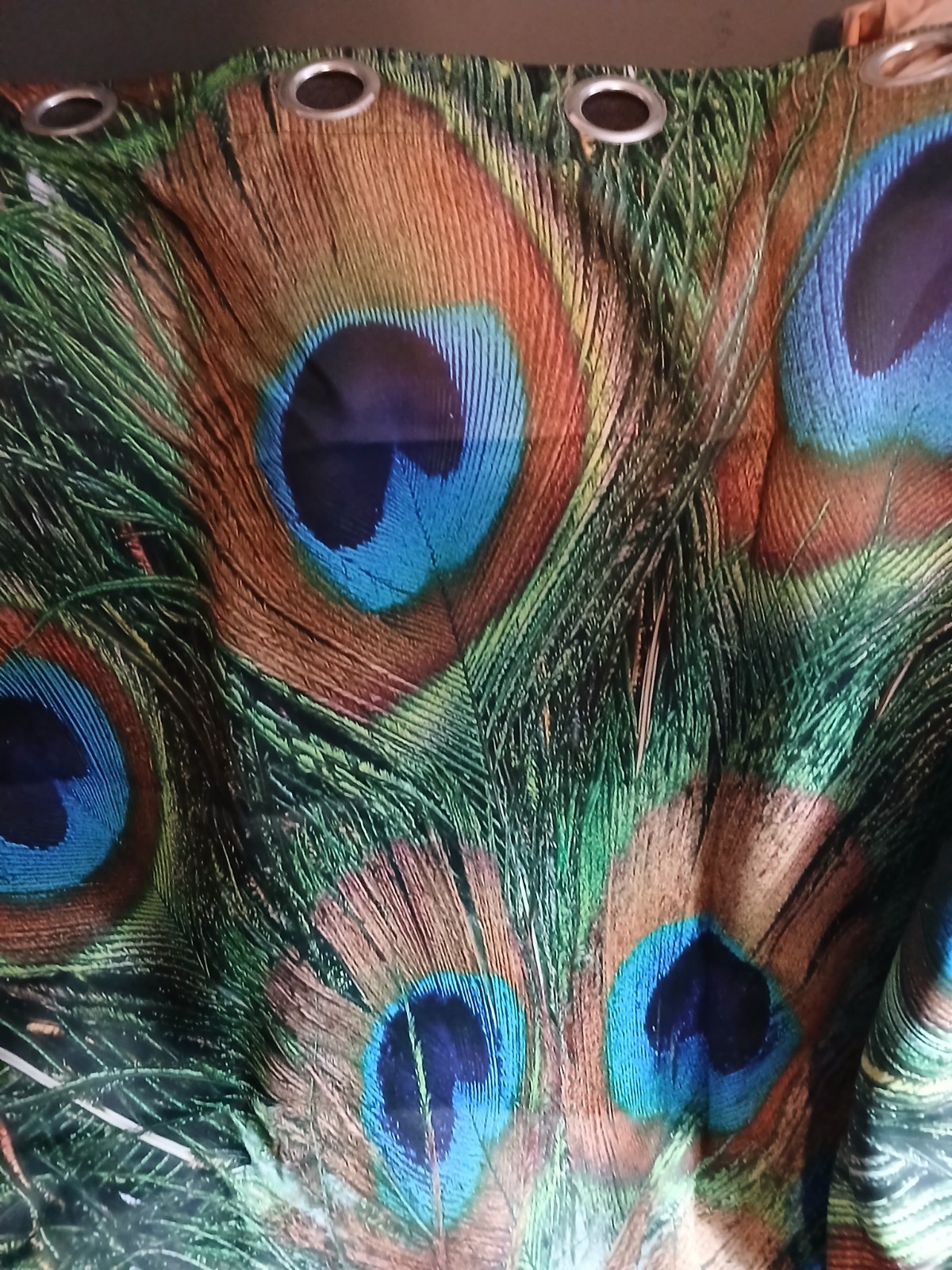 Peacock Drapes 2/pack 84″ Long X 54″ Wide