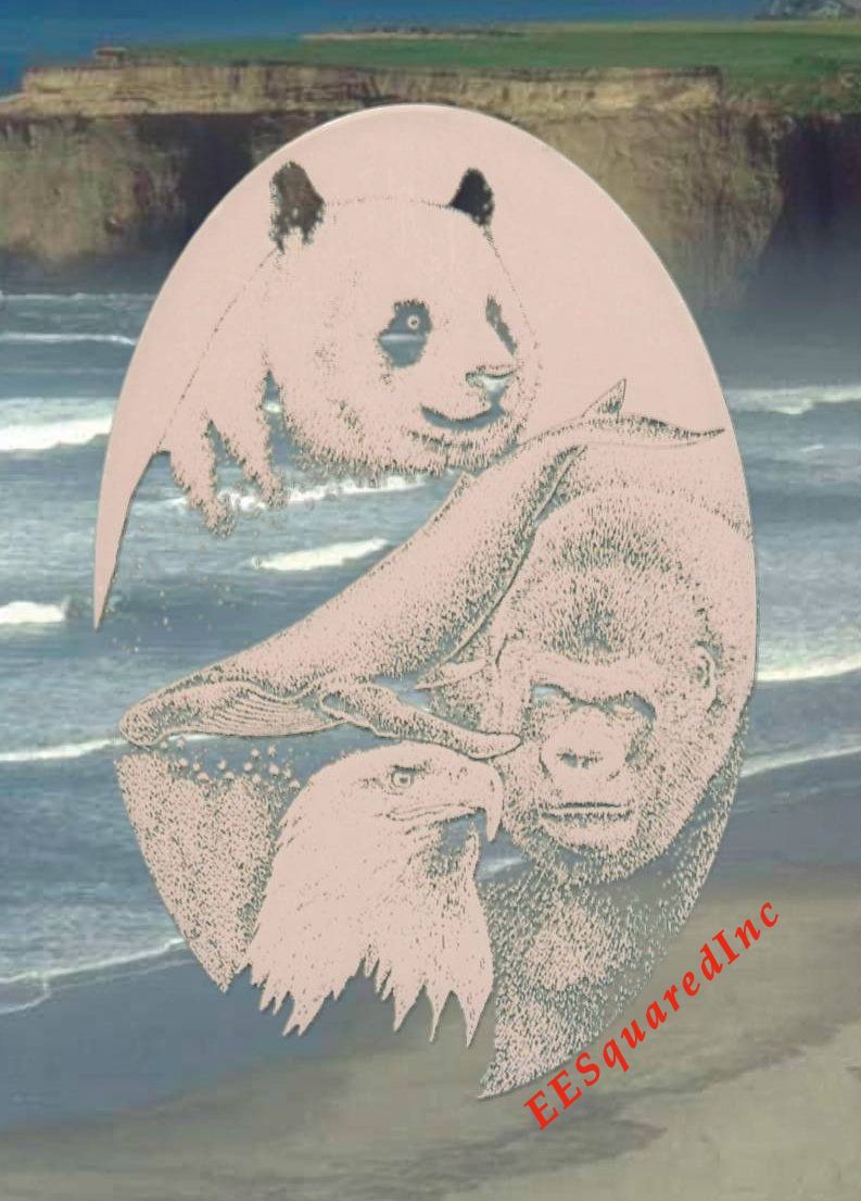 Panda Eagle Whale Gorilla Window Decal 10×16 Static Cling Vinyl Glass Decor NEW