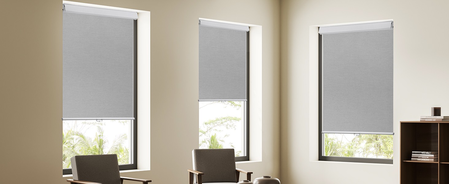 Roller Window Shades Free-Stop Cordless Blackout Blinds, Thermal Insulated Pull