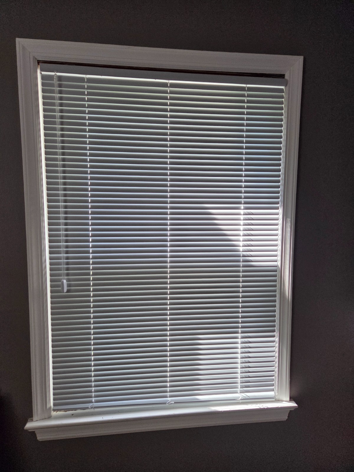 Mini Blinds NEW for 36″ W x 64″ H Windows 1″ Aluminum Horizontal Venetia…