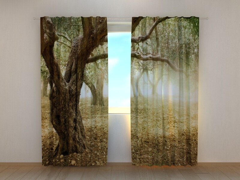 3D Photo Curtain Old Olive Trees Made to Measure