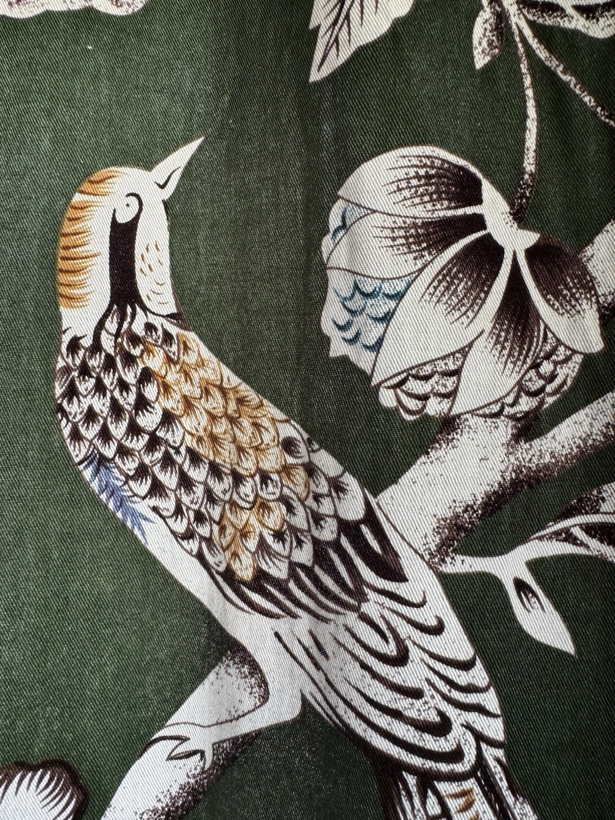 Pier 1 Imports Moss Floral Birds Curtains 2 panels 54×84, 100% Cotton