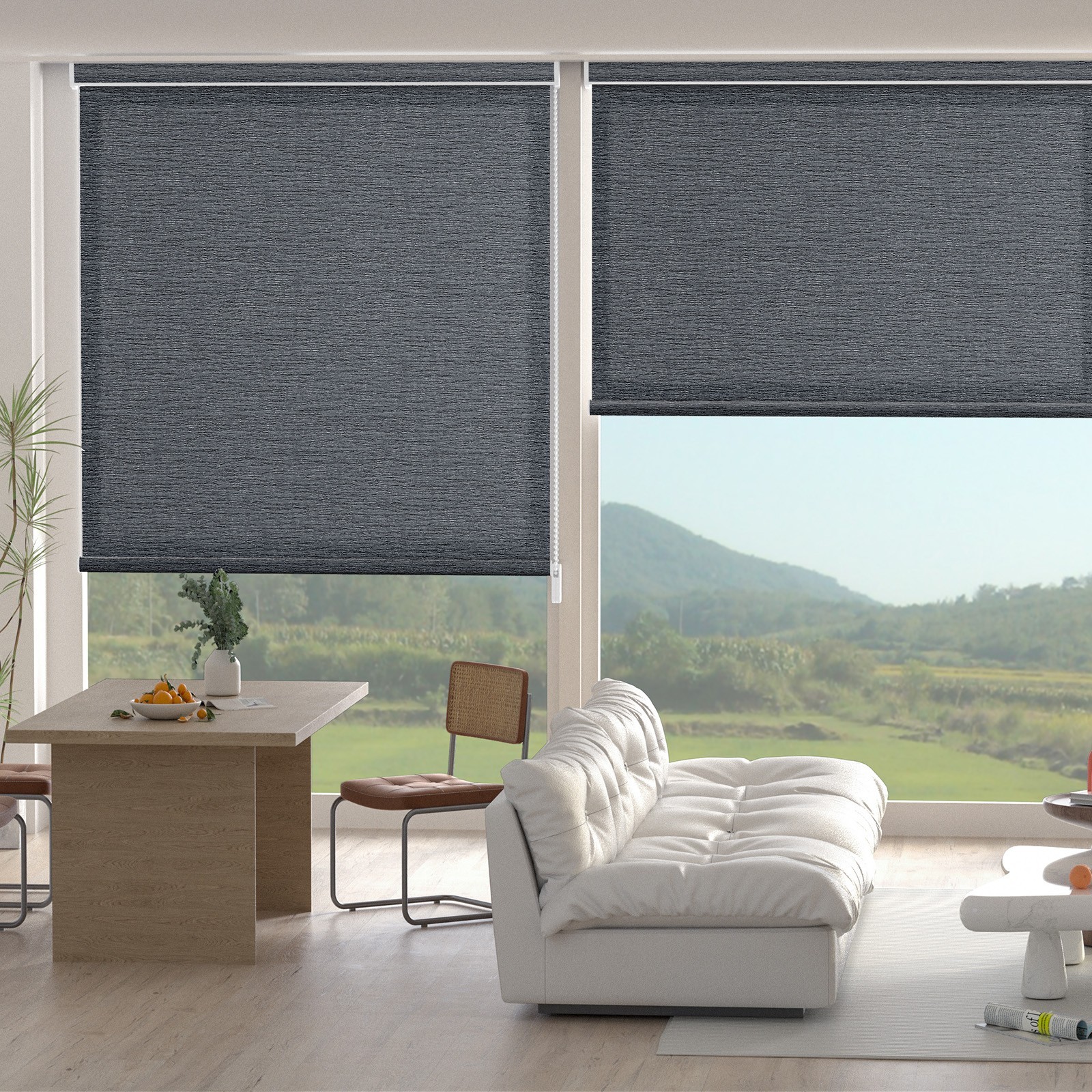 Changshade Light Filtering Curtains Window Blinds Roller Shades Room Darkening