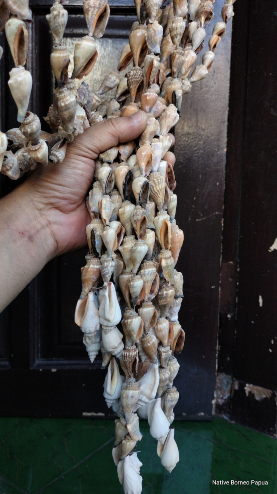 10 strand Papua big shells curtains,new guinea art, home decor, gifts,wall deco