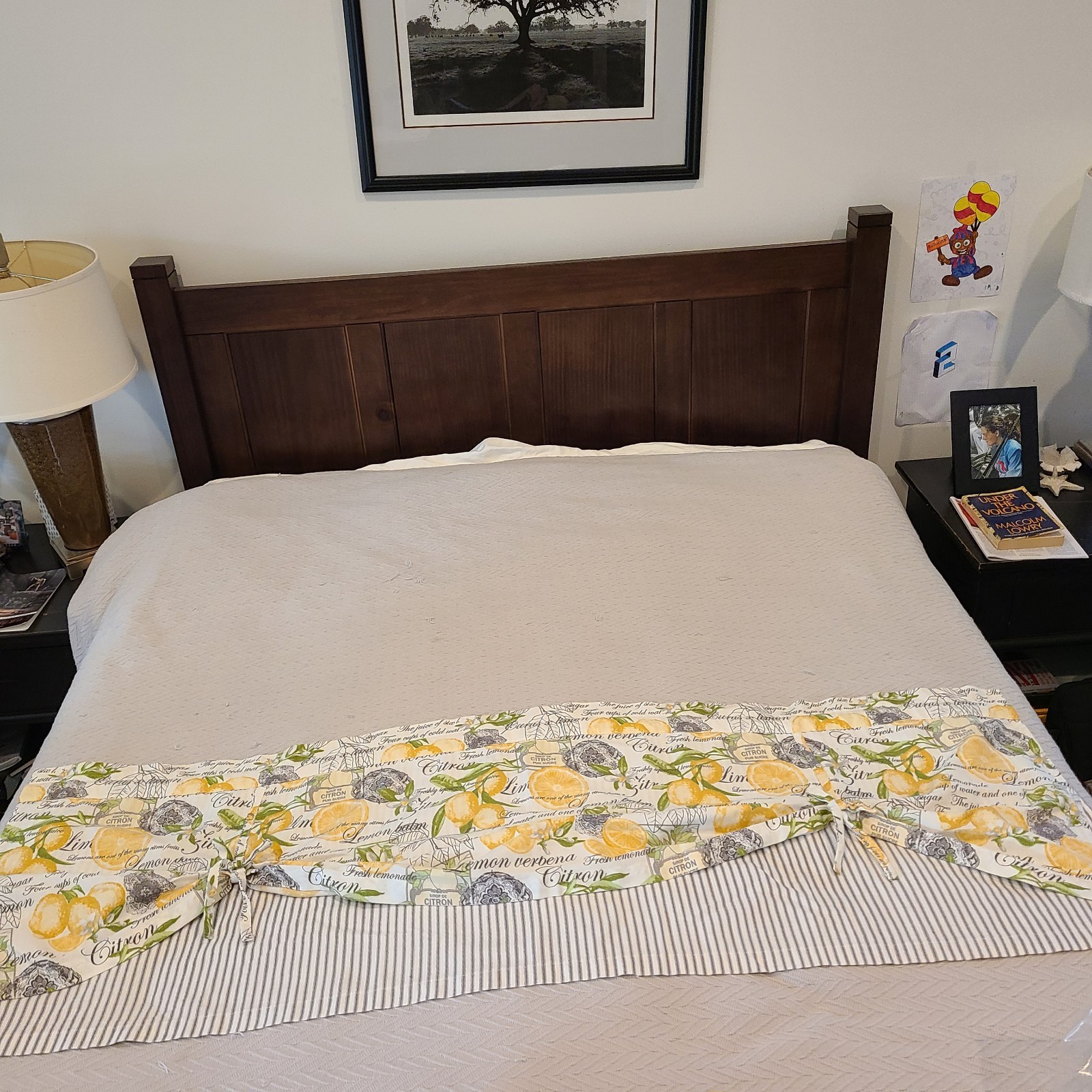 Waverly Lemon Zest Valance Curtain 60 in x 18 in | 152 cm x 46 cm | Cotton/Poly