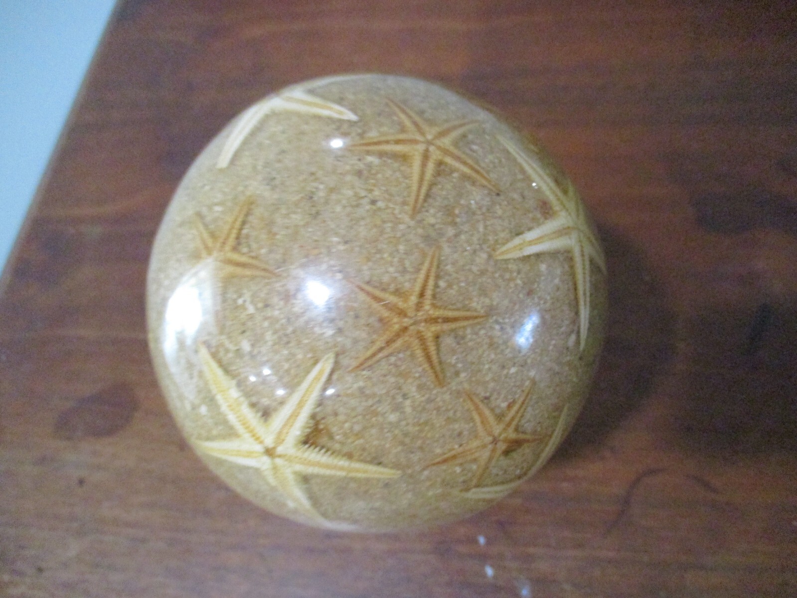 Murano Ocean starfish on sand sphere globe Curtain Rod Finial