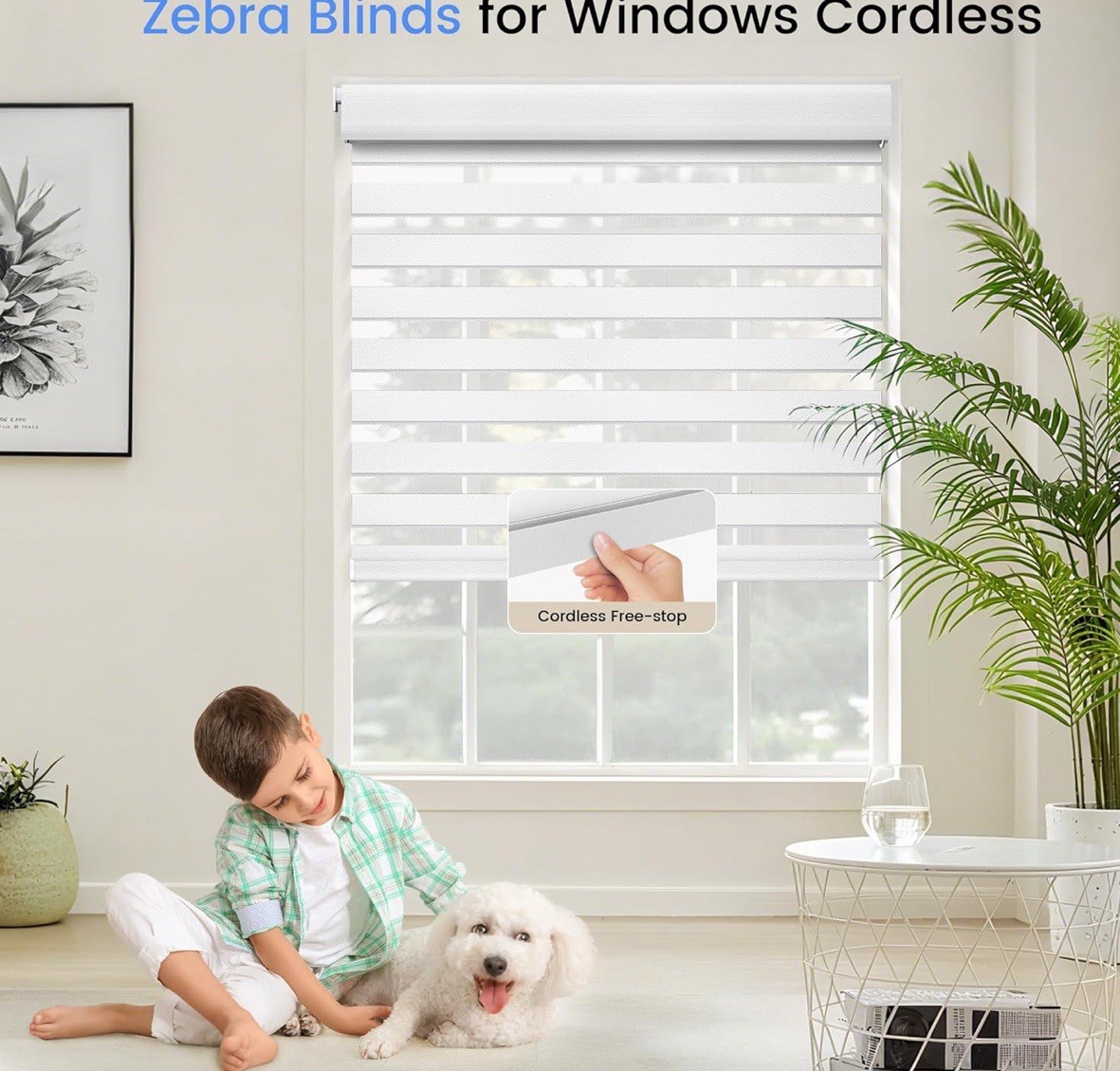 White, 34” x 64” Cordless Zebra Blind Dual Layer Light Filtering Privacy Shades
