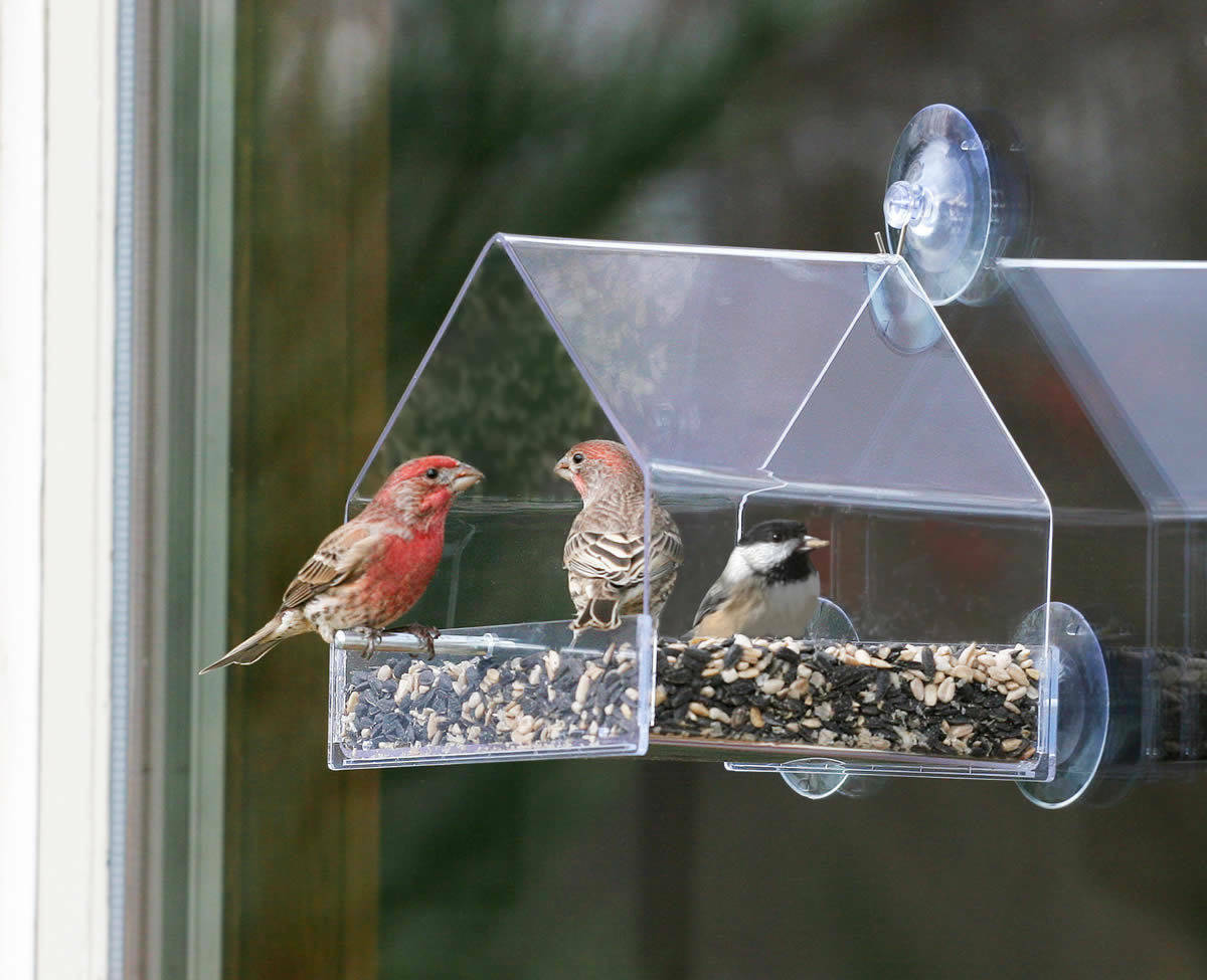 Window Bird Feeder Reflective Mirror Film UV Home Heat Insulation 12″X1′