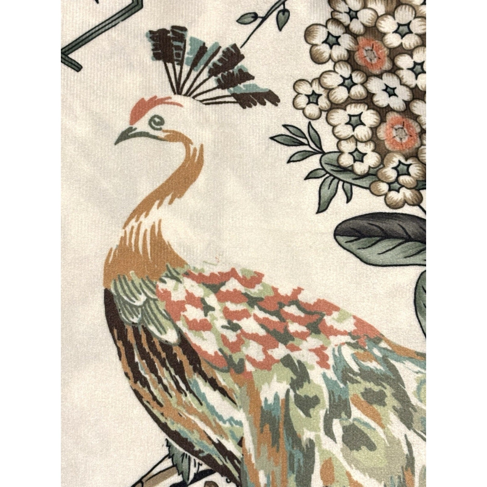 Callisto Home Peacock Bird Window Curtains Panels 38 X 96” Set Pair Ivory Drapes