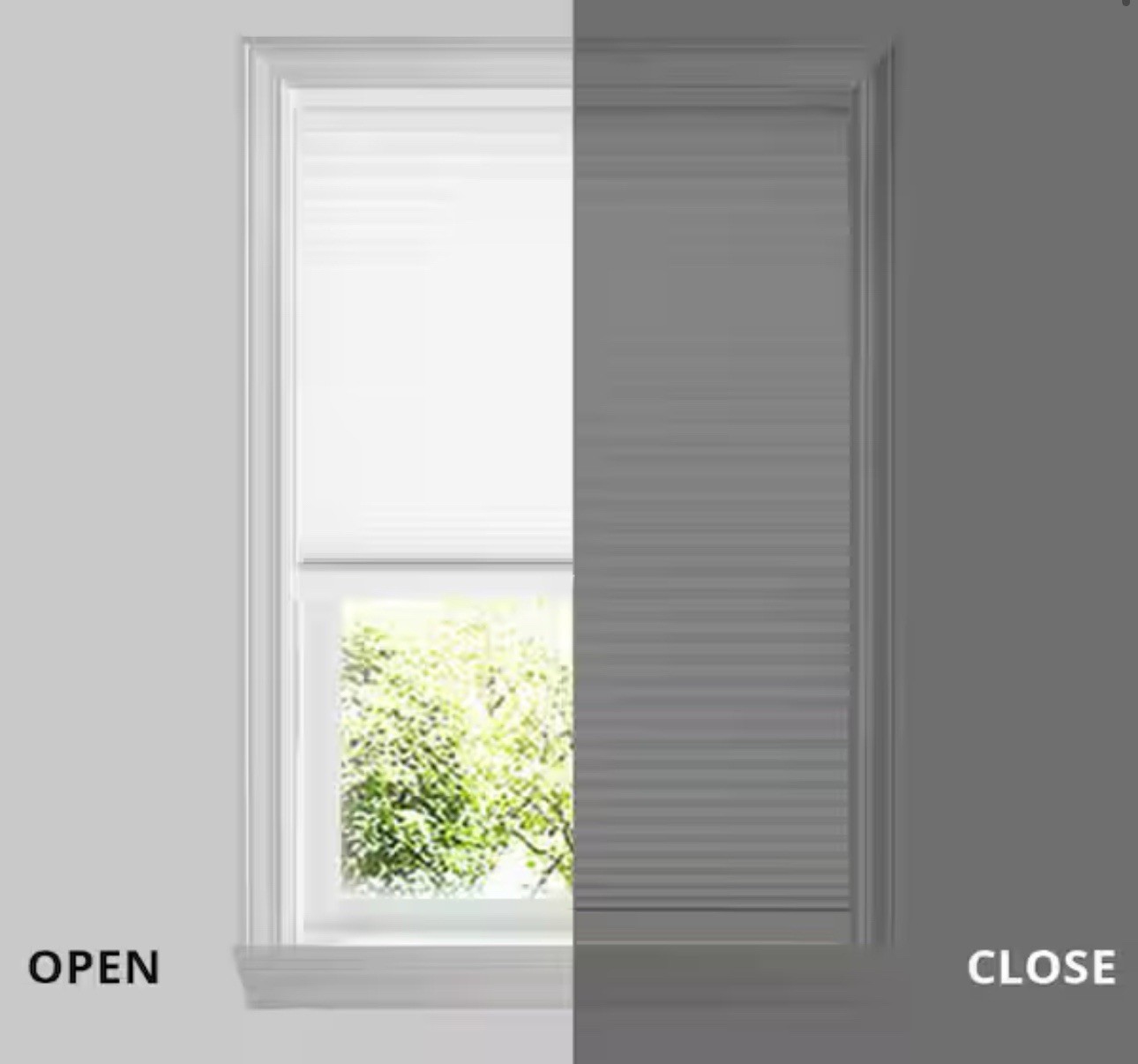 Snow Drift Cordless Light Filtering Cellular Window Shades 36.375” By 64”