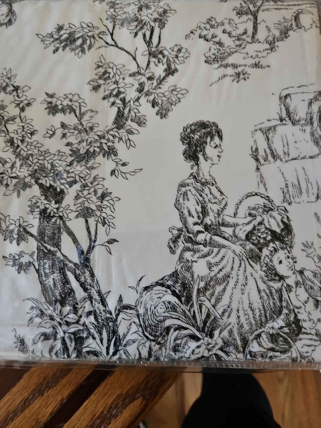 Enchanted Toile Country Toile Lot Of 2 Valances By Extreme Linen 80″ X 17″ Each