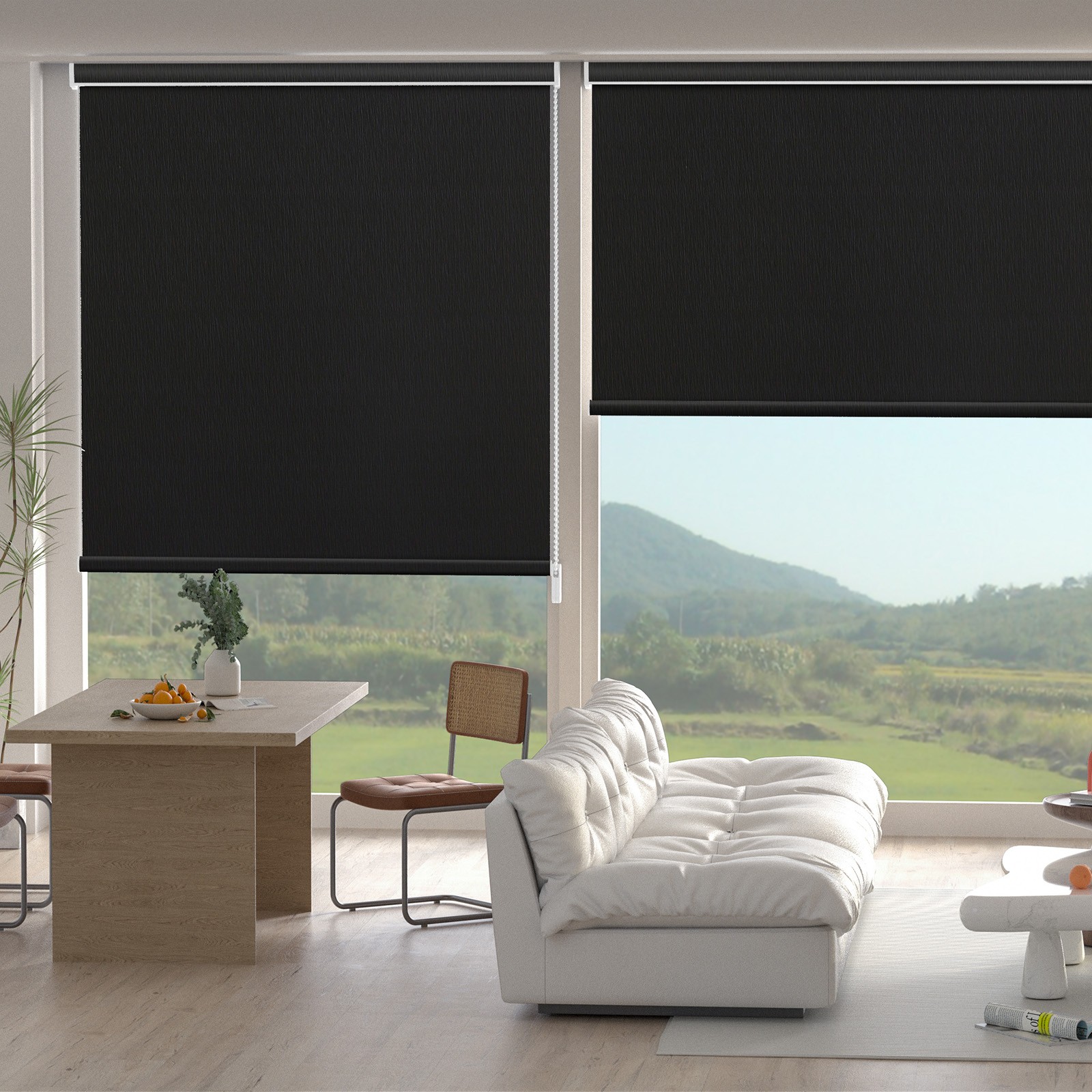 Changshade CUSTOM Made Blackout Window Blinds Corded Roller Shade Roll-up Blind