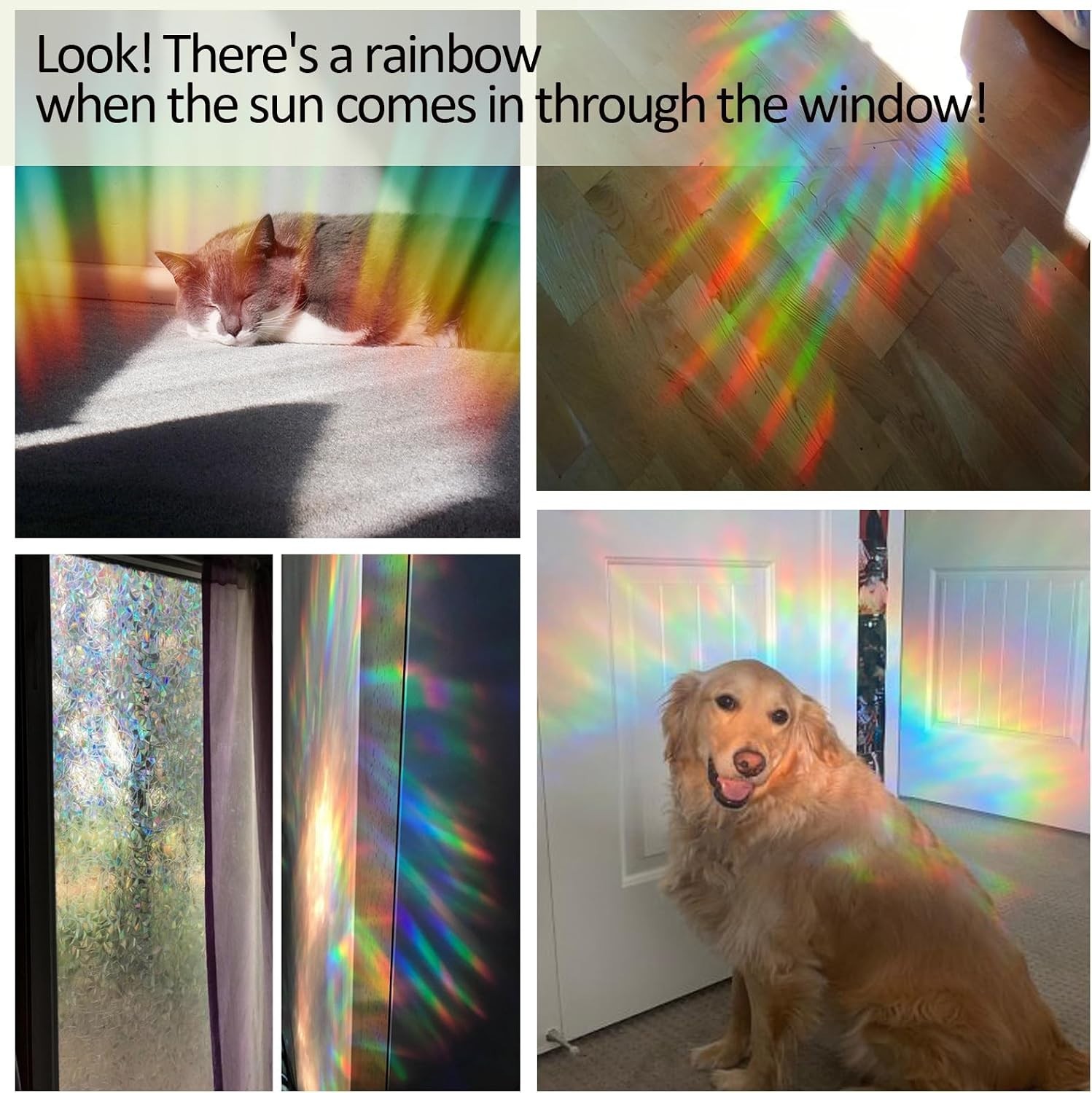 Rainbow Effect Floral Window Privacy Film – Easy Static Cling, 17.5” x 78.7”
