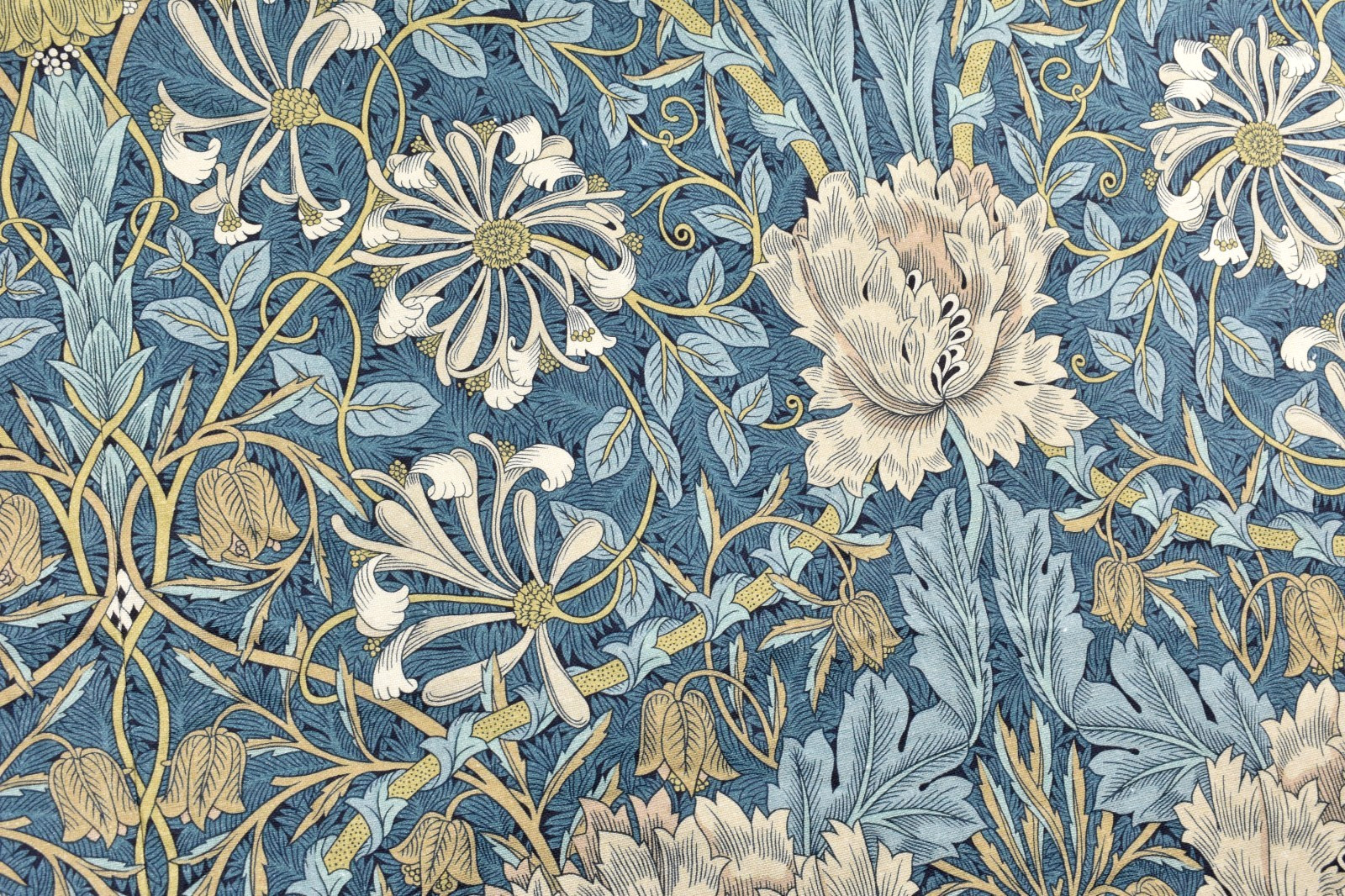 Williams Sonoma SAMPLE Morris & Co Honeysuckle Tulip Pleated Curtain 50×84 AS-IS