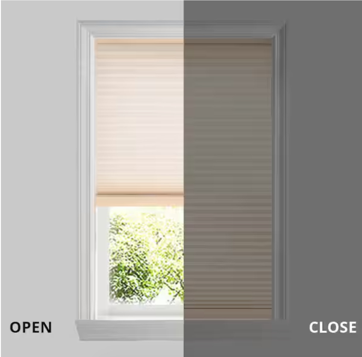 Home Decorator Coll. Cordless Cellular Shade Light Filter Parchment & CUSTOM