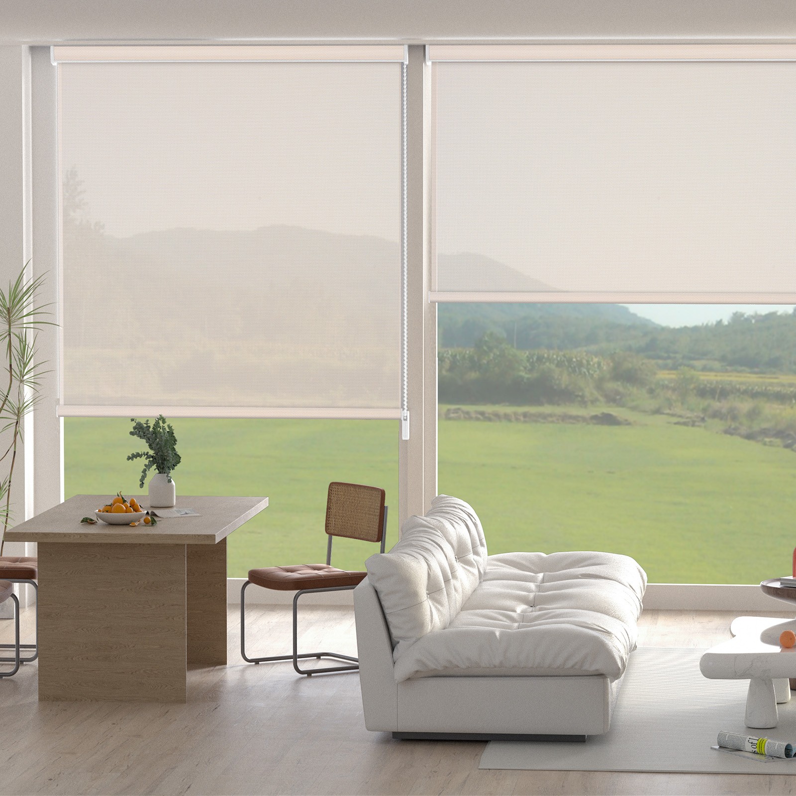 Changshade CUSTOM CUT Corded Light Filtering Window Blinds Roller Shades