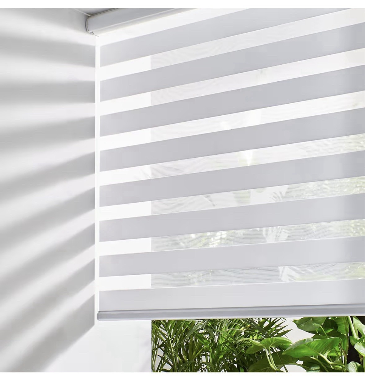 Persilux Cordless Zebra Blinds for Windows Free Stop Roller 24W x 72H, White