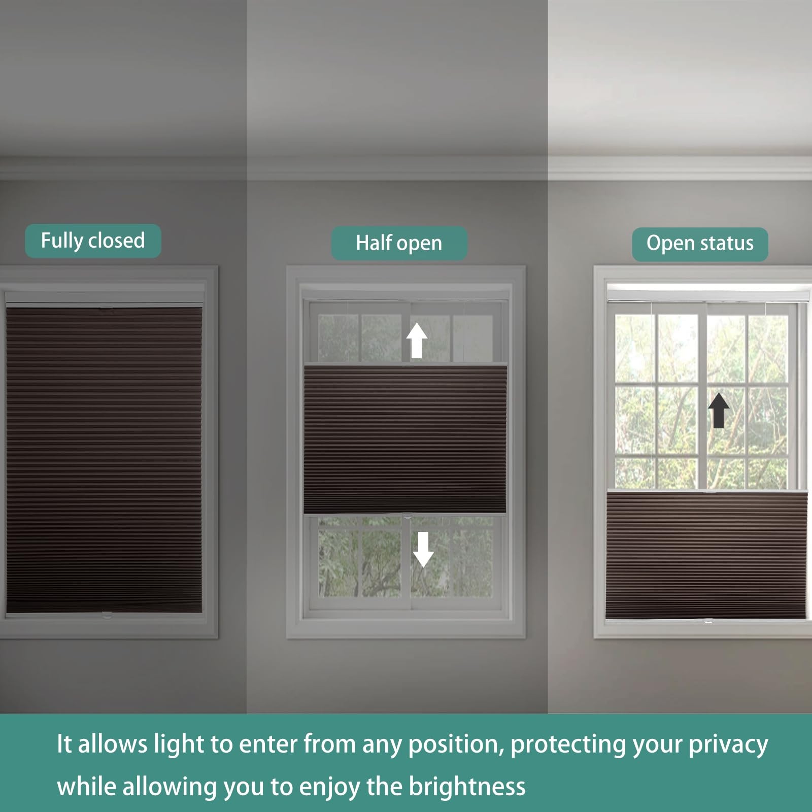 Changshade Blackout Top Down Bottom Up Cellular Shades Cordless Honeycomb