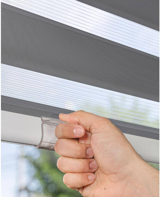 Cordless Light Filtering Dual Layer Zebra Roller Shade 27 in. W x 72 in. L