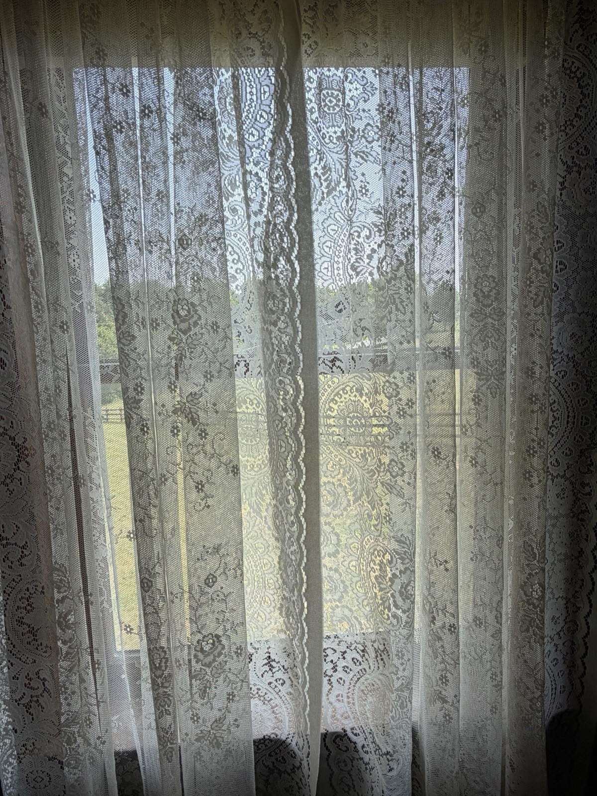 Protela 2 Panels Lace Curtains Ivory Ecru Each Panel Is 62” X 62” Floral Rose