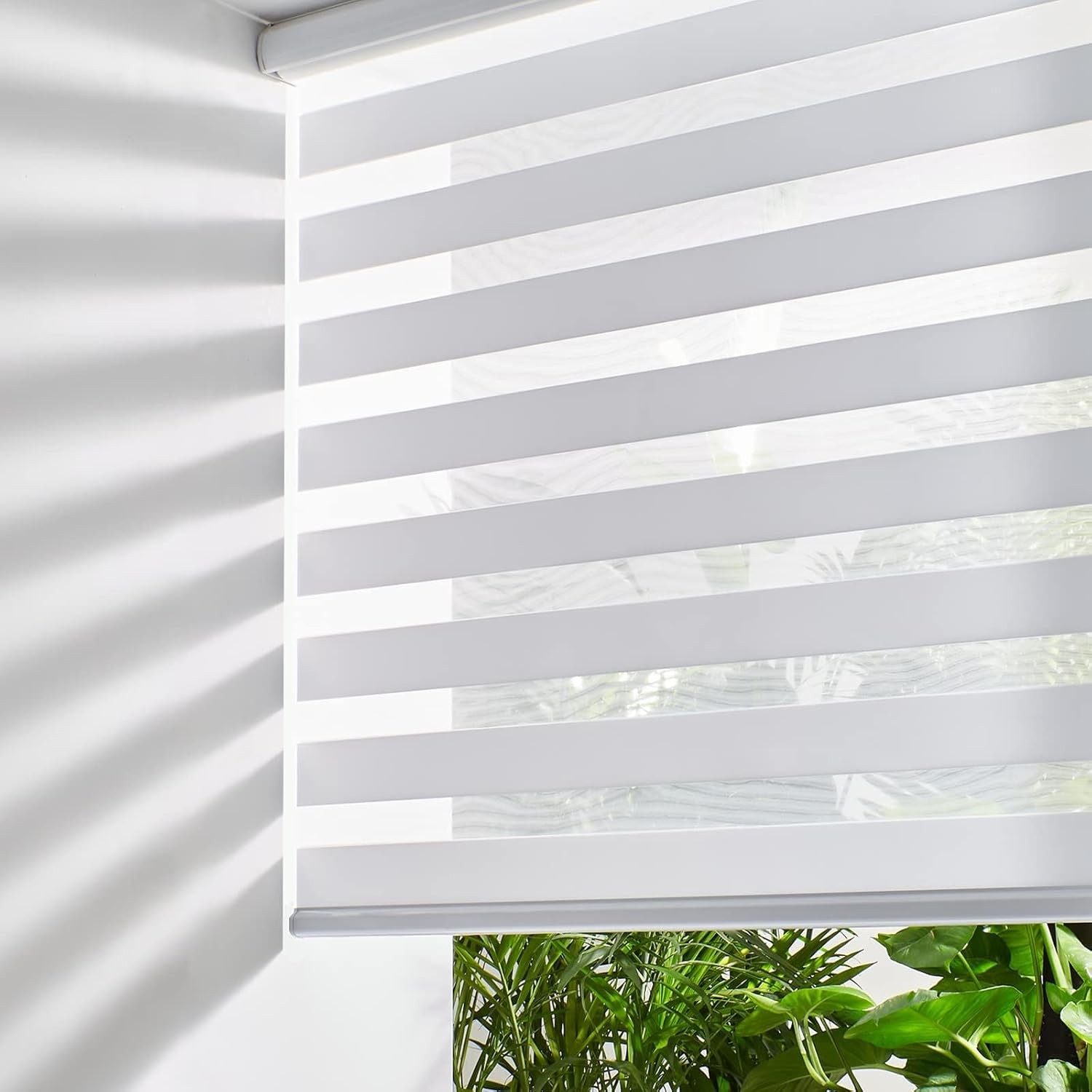 Cordless Zebra Blinds for Windows, Roller Shades for Windows (51″ W x 72″ H,